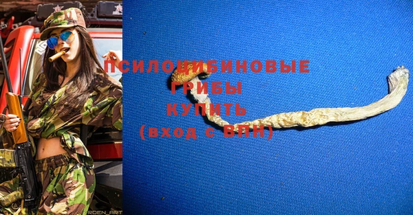 дурь Надым