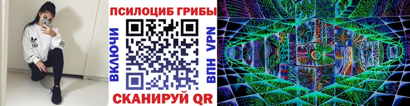 Галлюциногенные грибы Psilocybe  Тула 