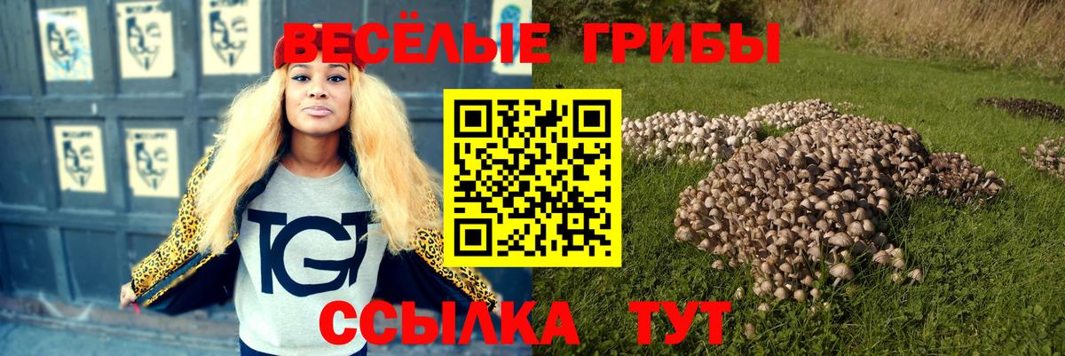 Тула  Псилоцибиновые грибы Psilocybine cubensis  Галлюциногенные грибы Cubensis  Вход с VPN 