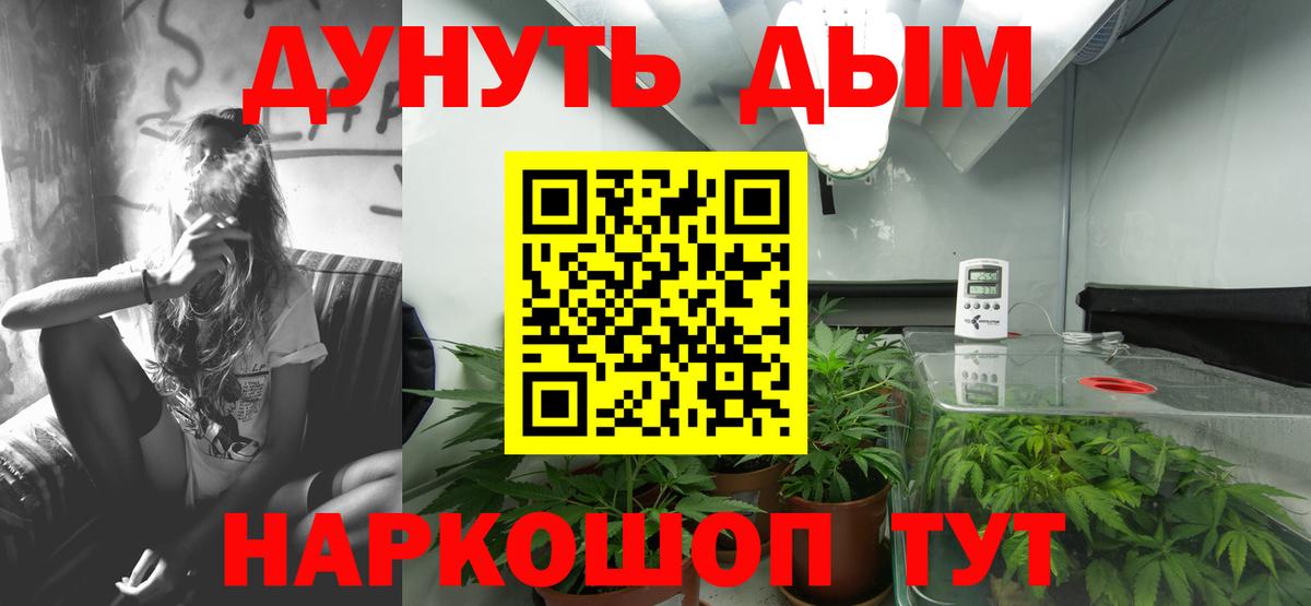 Конопля AK-47  Вход с VPN  Тула  Каннабис планчик 